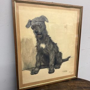 Antica incisione acquerellata, "Cane", Cecil Aldin 1902, 50x42cm