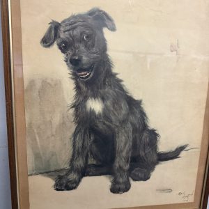 Alternative view of Antica incisione acquerellata, "Cane", Cecil Aldin 1902, 50x42cm
