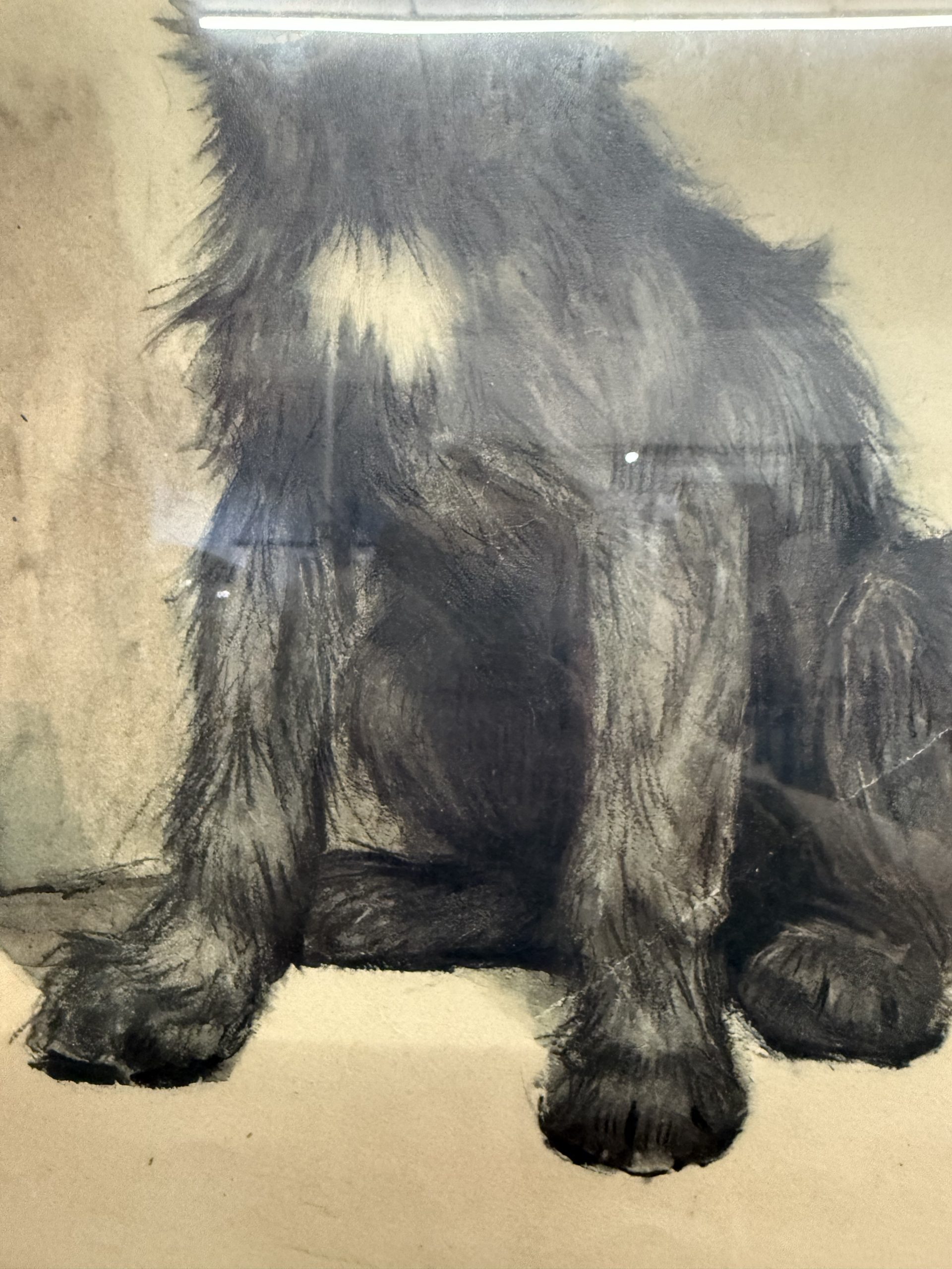 Antica incisione acquerellata, "Cane", Cecil Aldin 1902, 50x42cm - immagine 5