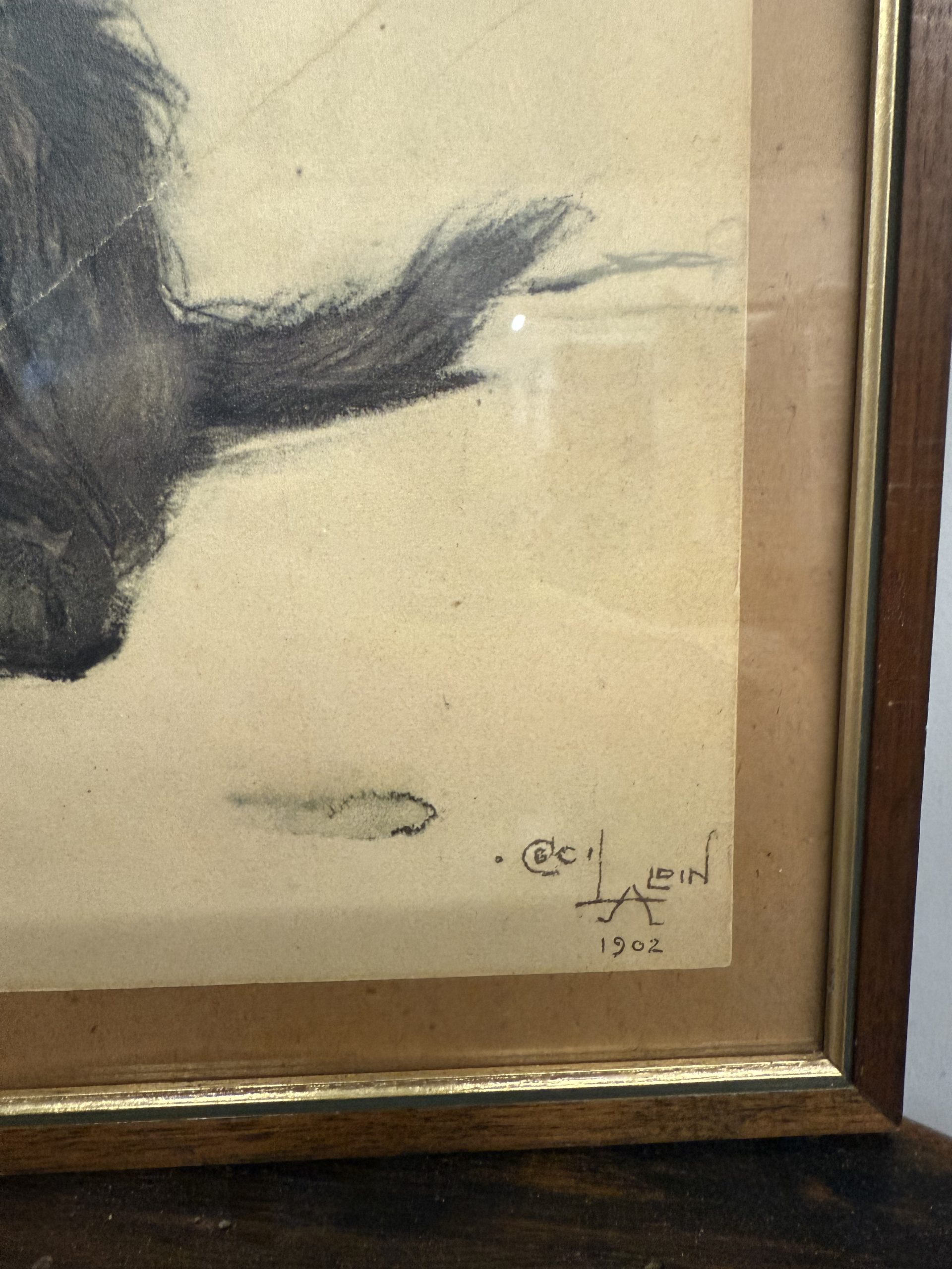 Antica incisione acquerellata, "Cane", Cecil Aldin 1902, 50x42cm - immagine 6