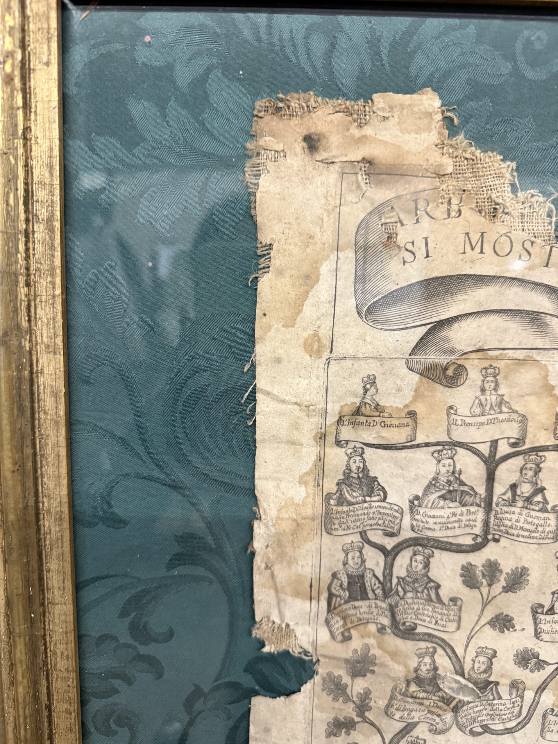 Antica incisione su tela, Albero genealogico del Re del Portogallo XVI sec, 92x72cm - immagine 4