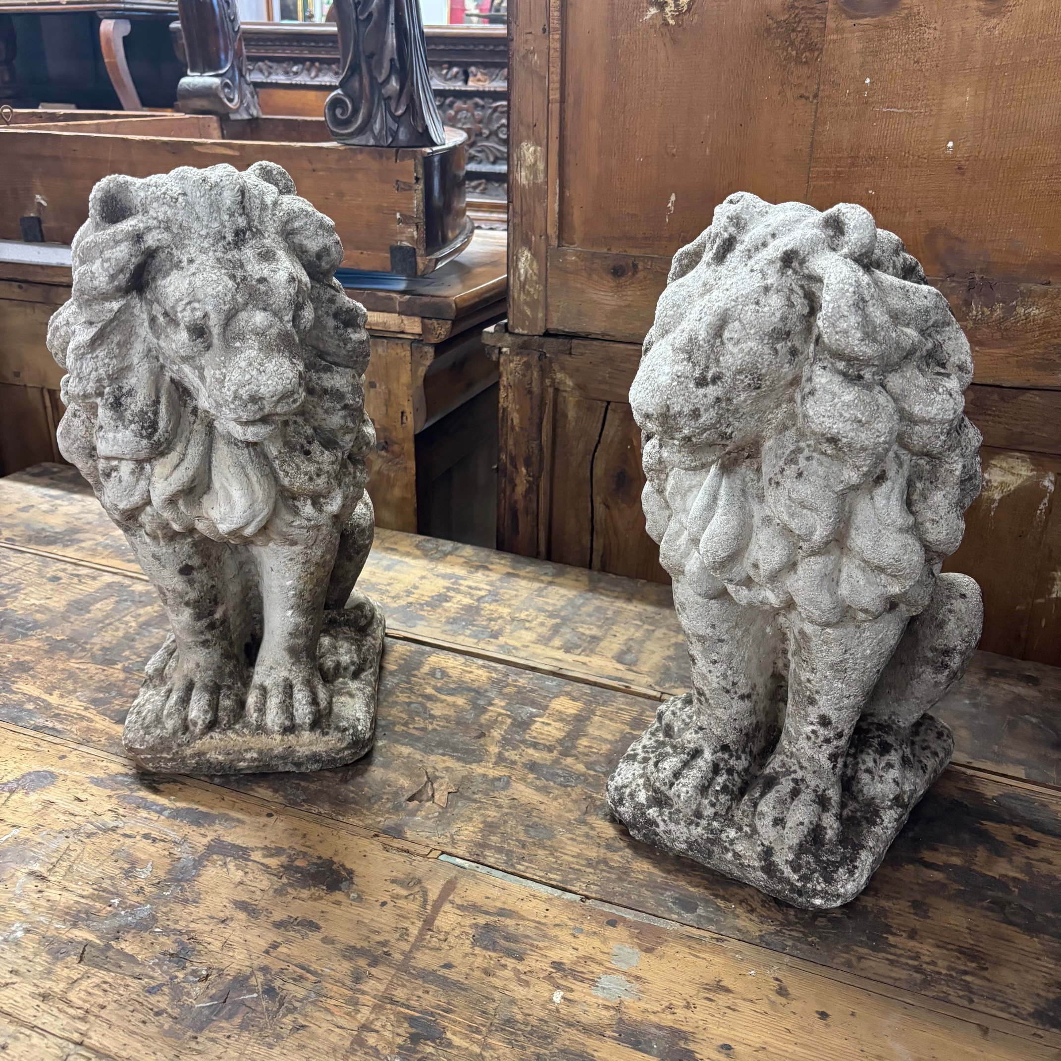 Antica coppia di Leoni sculture in cemento . anni 50 . Mis H cm 53 .