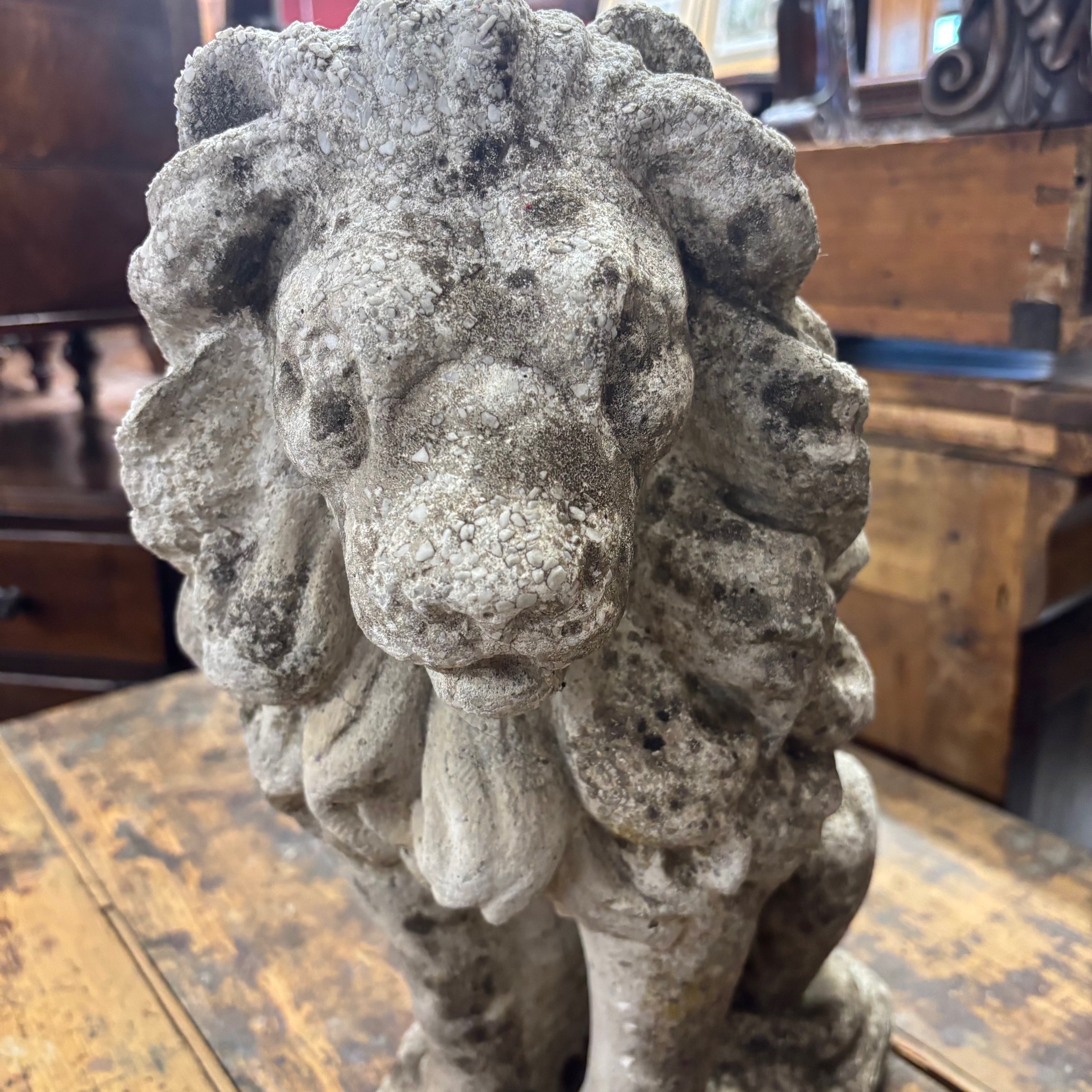 Antica coppia di Leoni sculture in cemento . anni 50 . Mis H cm 53 . - immagine 2