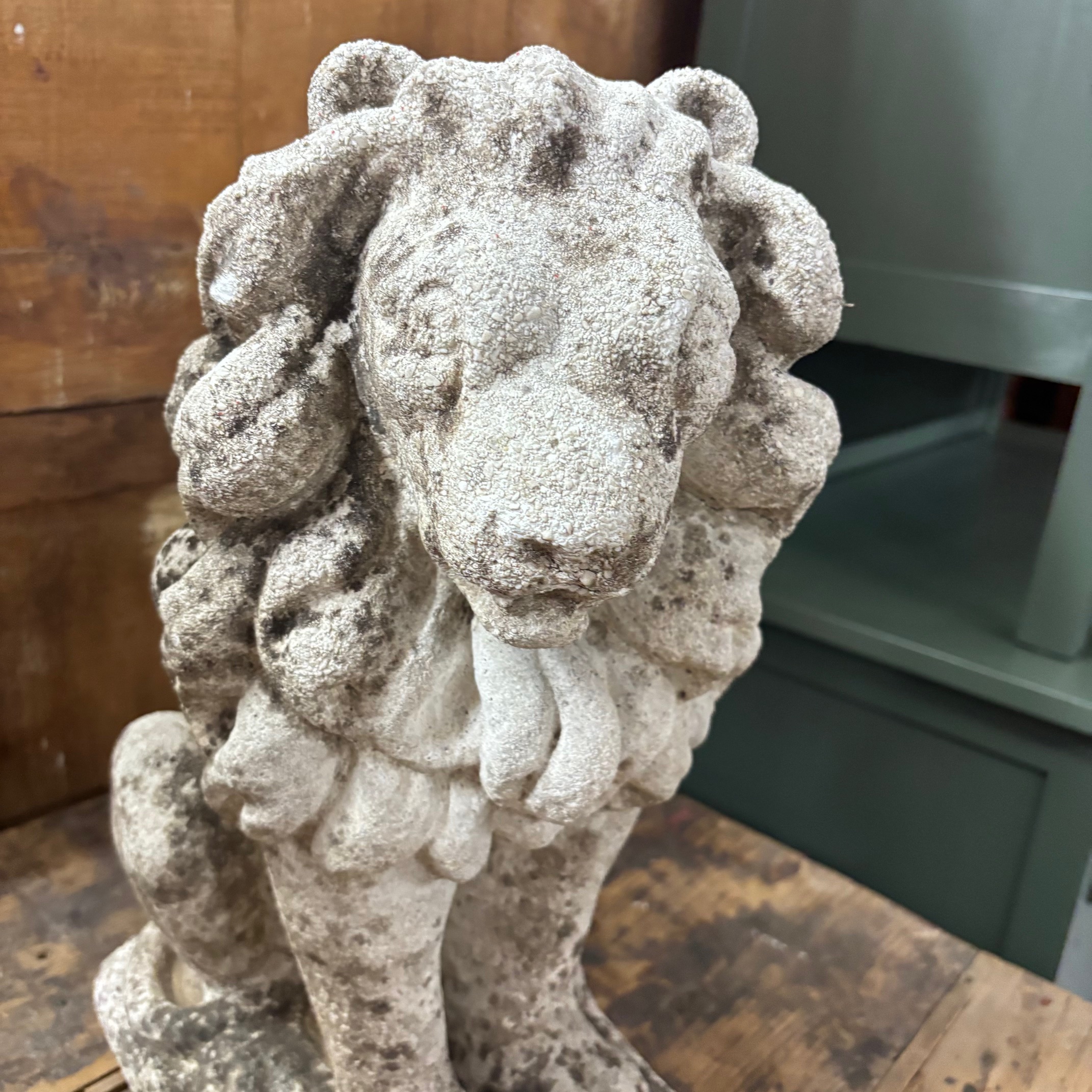 Antica coppia di Leoni sculture in cemento . anni 50 . Mis H cm 53 . - immagine 4