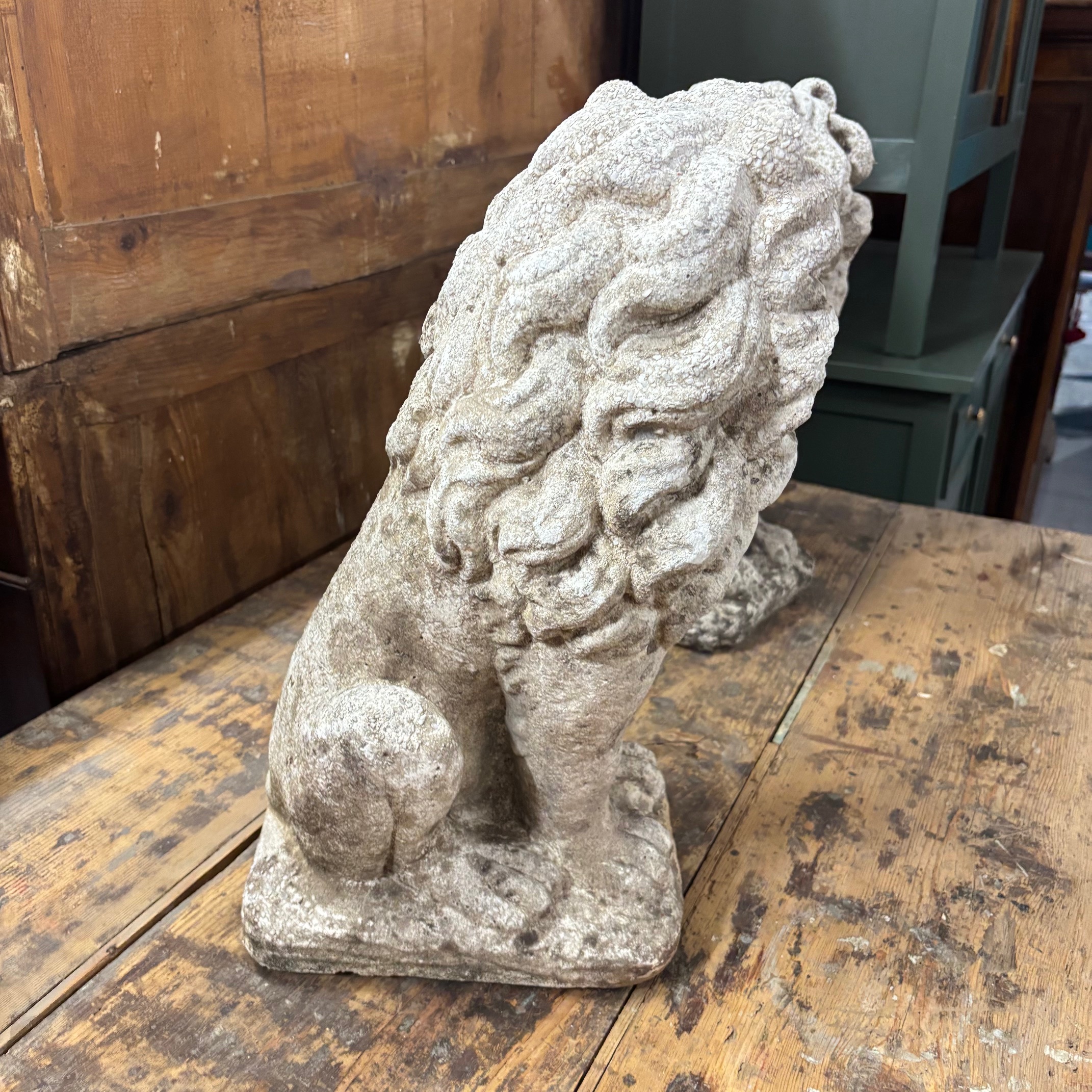 Antica coppia di Leoni sculture in cemento . anni 50 . Mis H cm 53 . - immagine 5