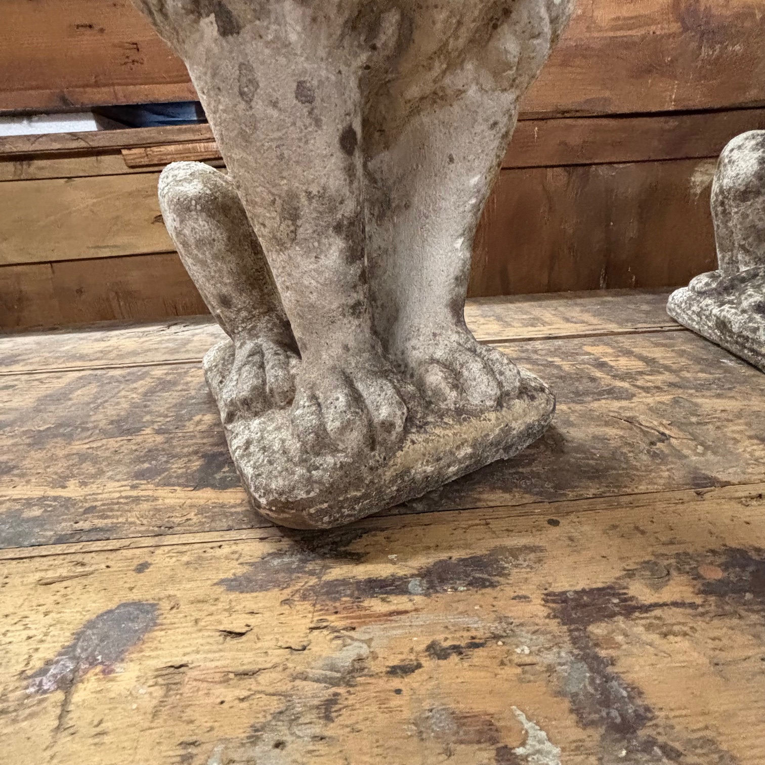 Antica coppia di Leoni sculture in cemento . anni 50 . Mis H cm 53 . - immagine 7