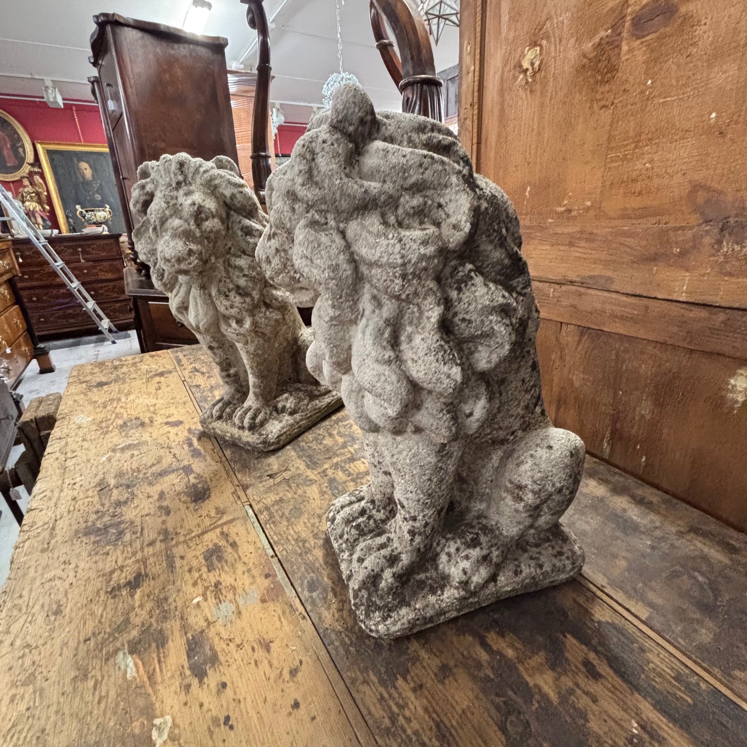 Antica coppia di Leoni sculture in cemento . anni 50 . Mis H cm 53 . - immagine 9