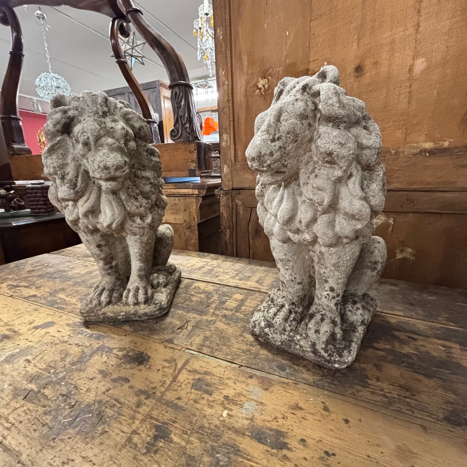 Antica coppia di Leoni sculture in cemento . anni 50 . Mis H cm 53 . - immagine 10