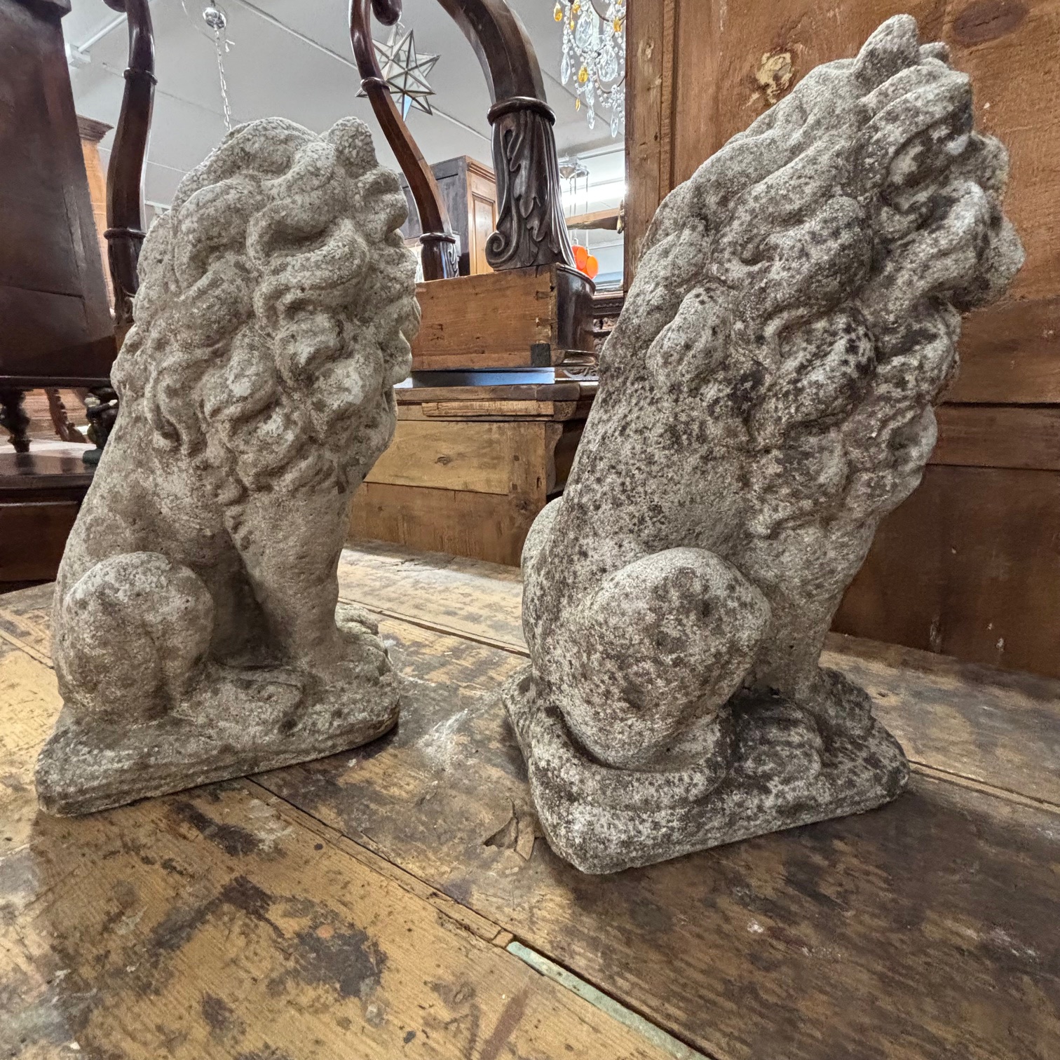 Antica coppia di Leoni sculture in cemento . anni 50 . Mis H cm 53 . - immagine 12