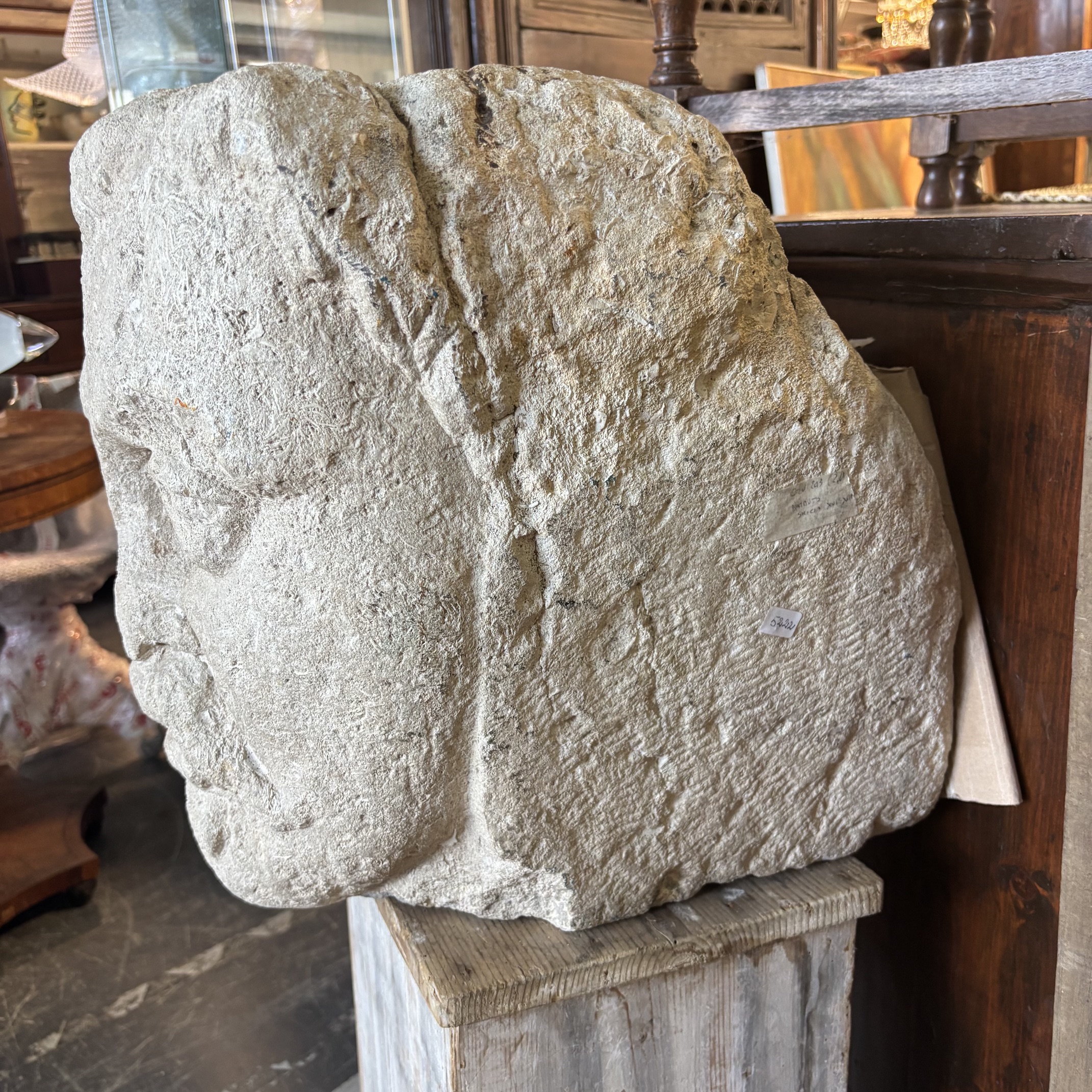 Antica Scultura testa in Pietra Sicilia XVII sec . Mis H cm 40 Prof cm 42 Larg 35 - immagine 3