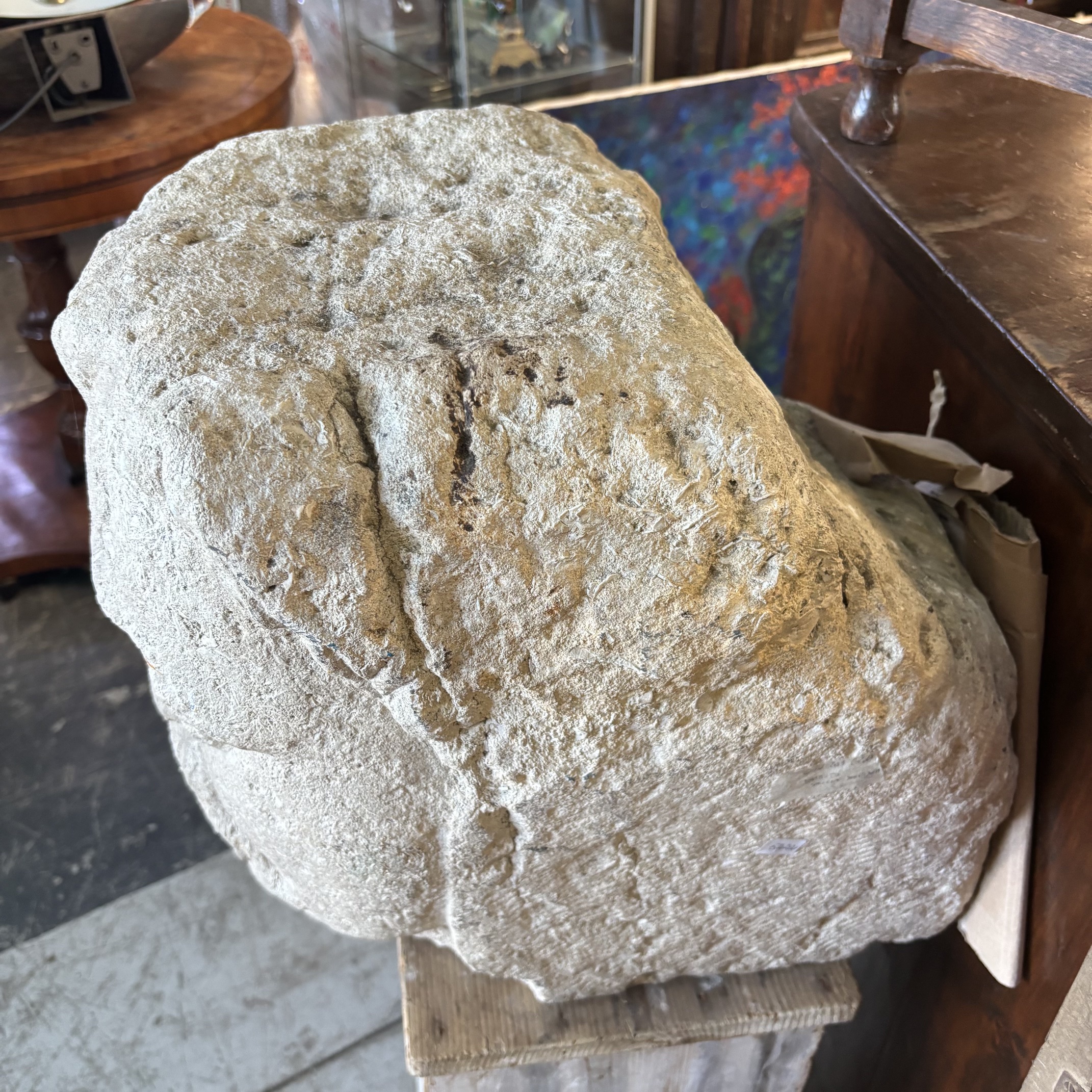 Antica Scultura testa in Pietra Sicilia XVII sec . Mis H cm 40 Prof cm 42 Larg 35 - immagine 4