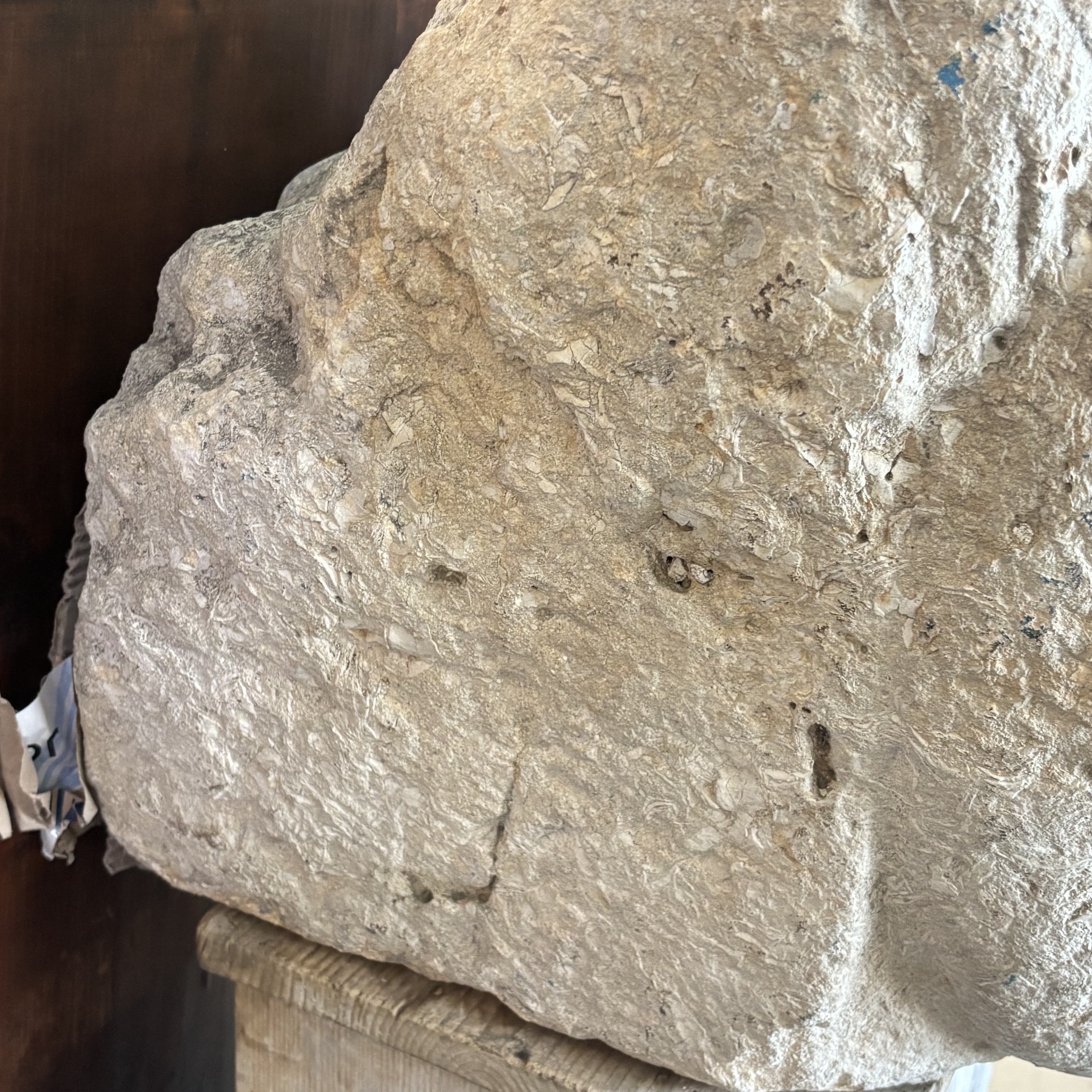 Antica Scultura testa in Pietra Sicilia XVII sec . Mis H cm 40 Prof cm 42 Larg 35 - immagine 15