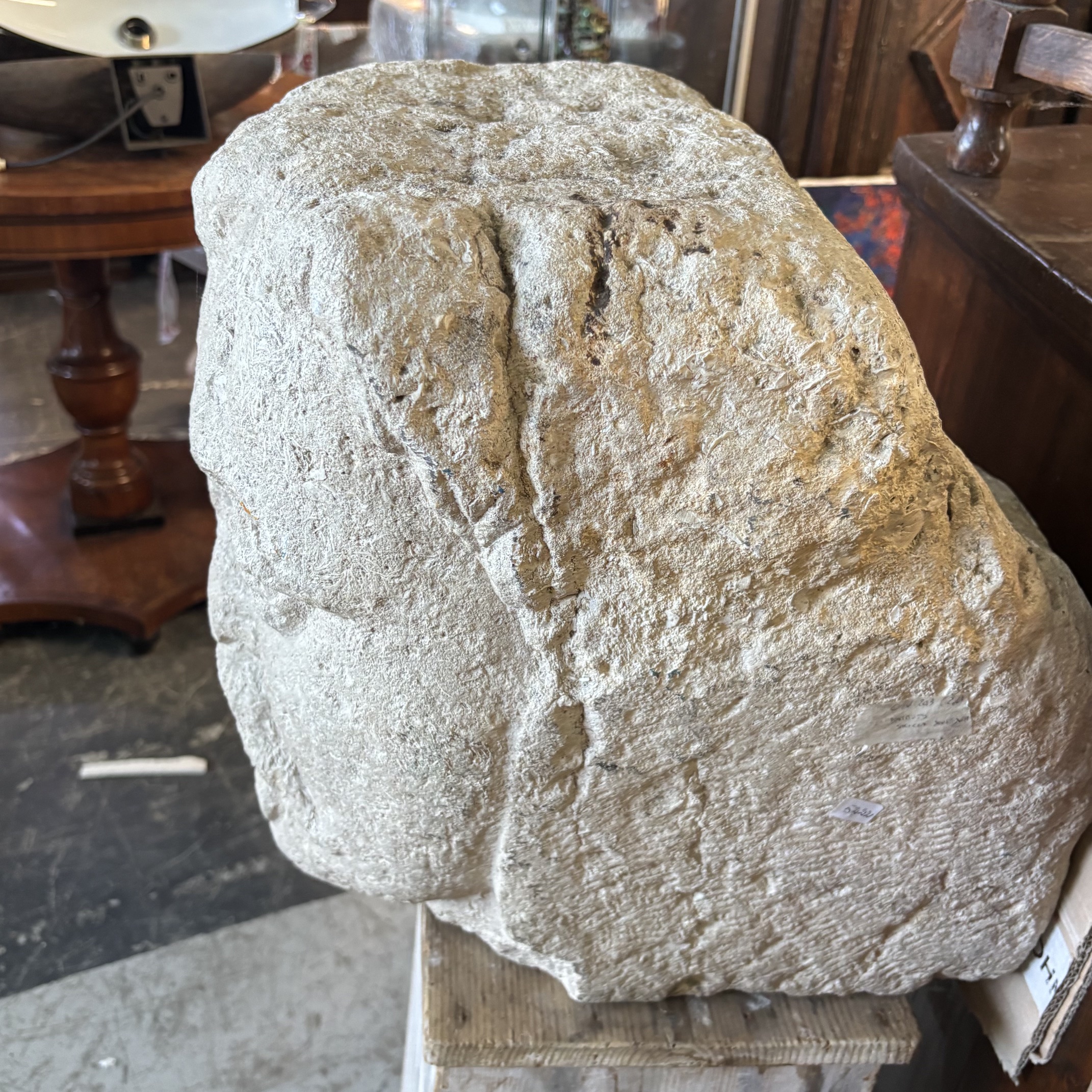 Antica Scultura testa in Pietra Sicilia XVII sec . Mis H cm 40 Prof cm 42 Larg 35 - immagine 17