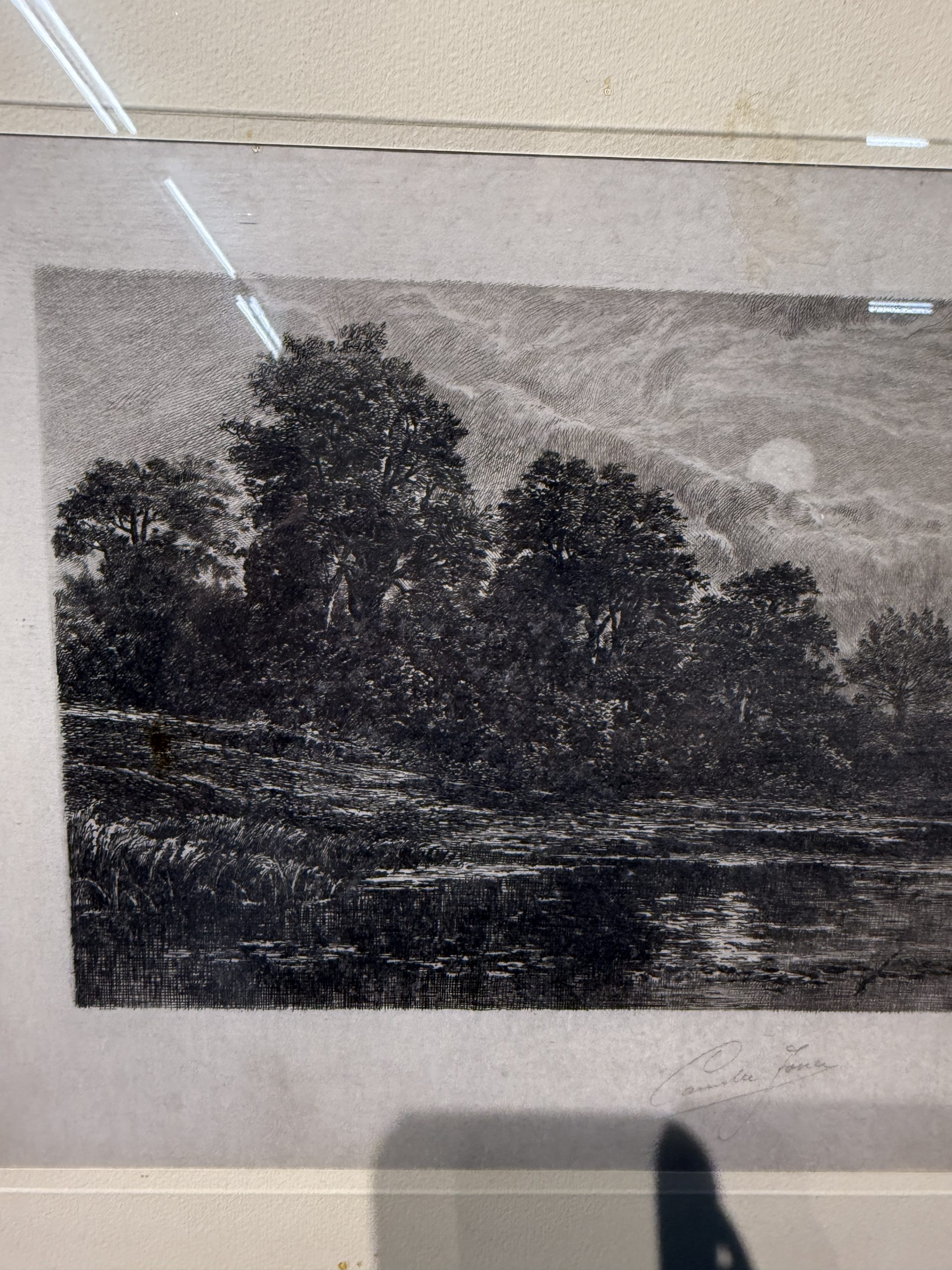 Antica acquaforte naturalista di Jean-Camille Fonce, 1867-1938, fine '800, 50x22cm - immagine 4