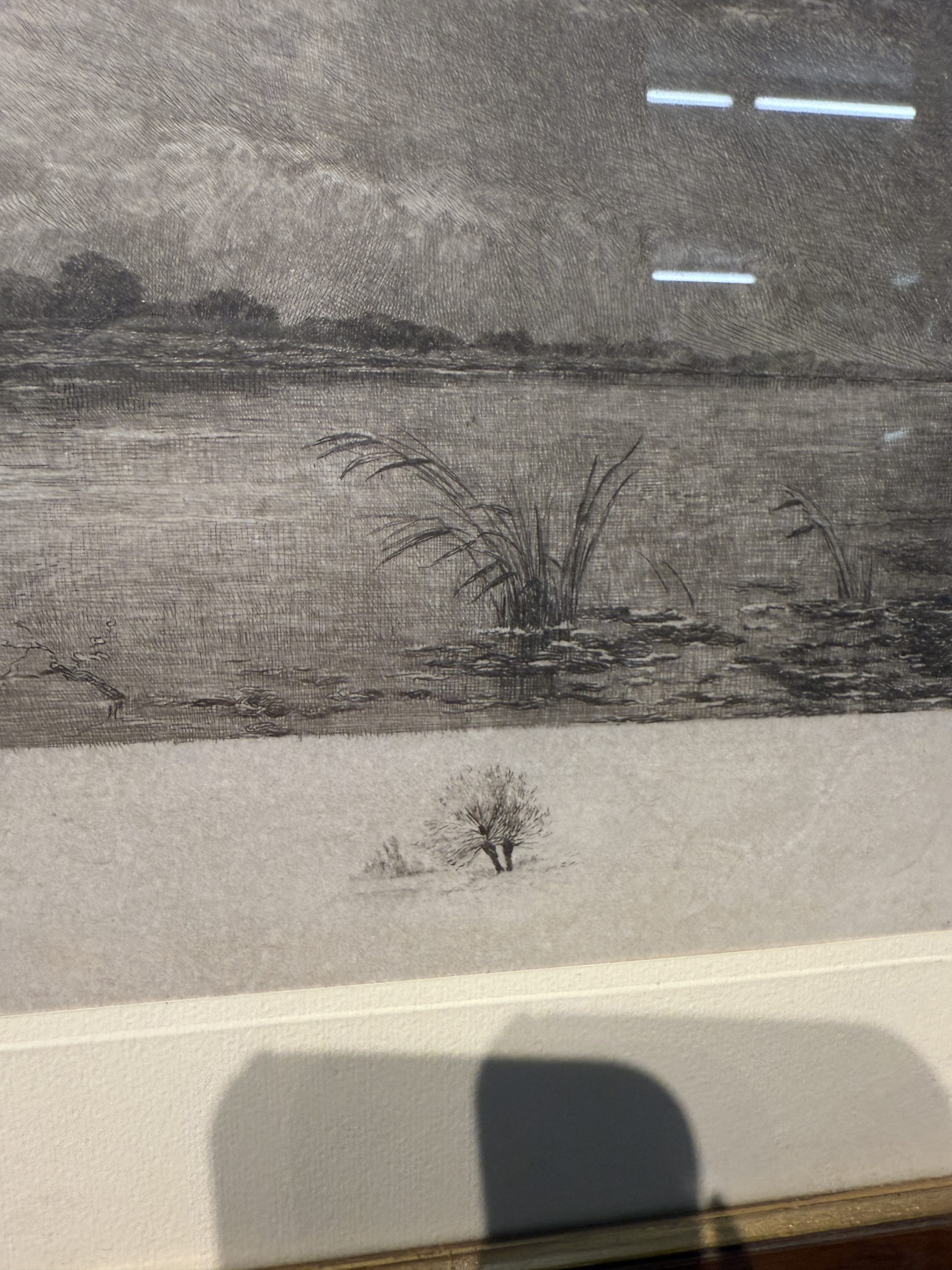 Antica acquaforte naturalista di Jean-Camille Fonce, 1867-1938, fine '800, 50x22cm - immagine 6