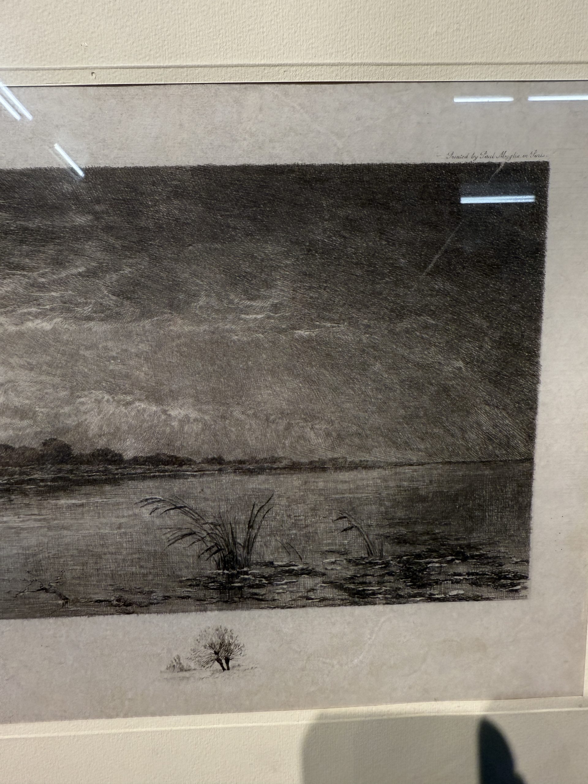 Antica acquaforte naturalista di Jean-Camille Fonce, 1867-1938, fine '800, 50x22cm - immagine 7