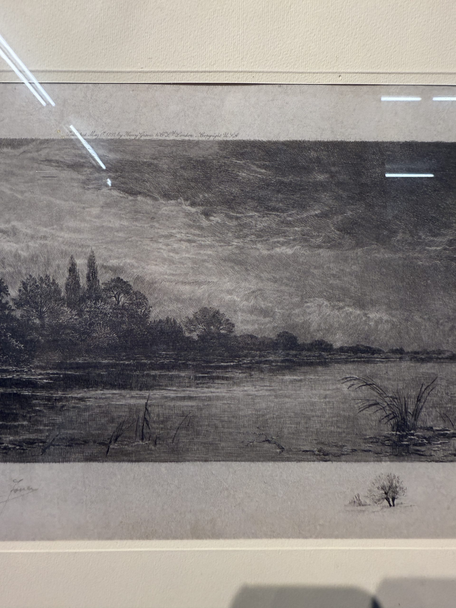 Antica acquaforte naturalista di Jean-Camille Fonce, 1867-1938, fine '800, 50x22cm - immagine 8
