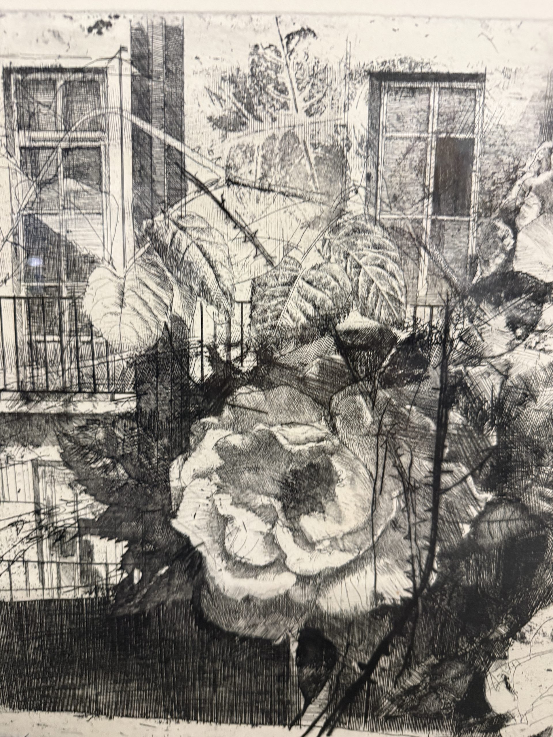 Antica incisione Mario Calandri "Rose nel cortile" N11/30 - immagine 5