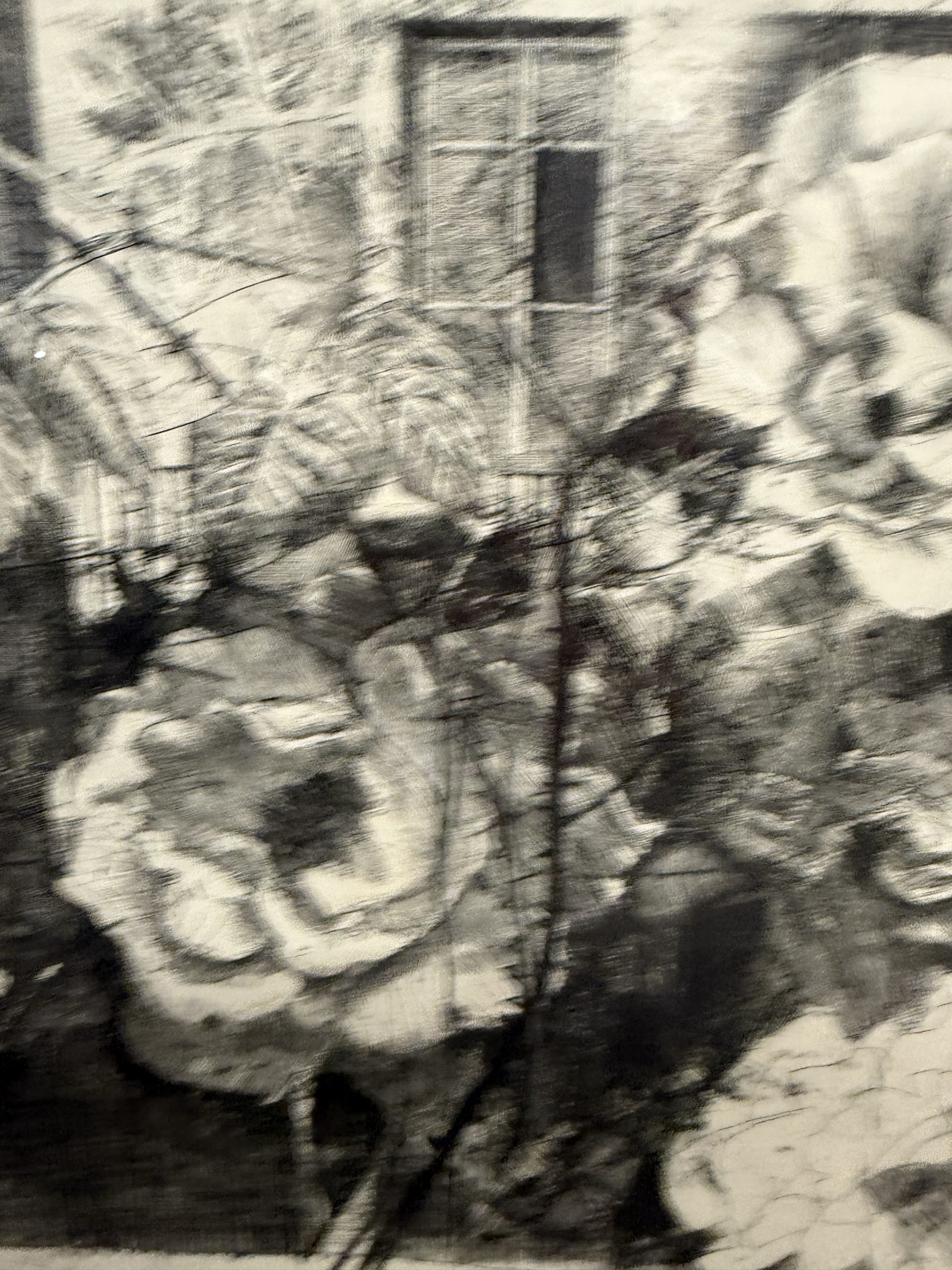 Antica incisione Mario Calandri "Rose nel cortile" N11/30 - immagine 6