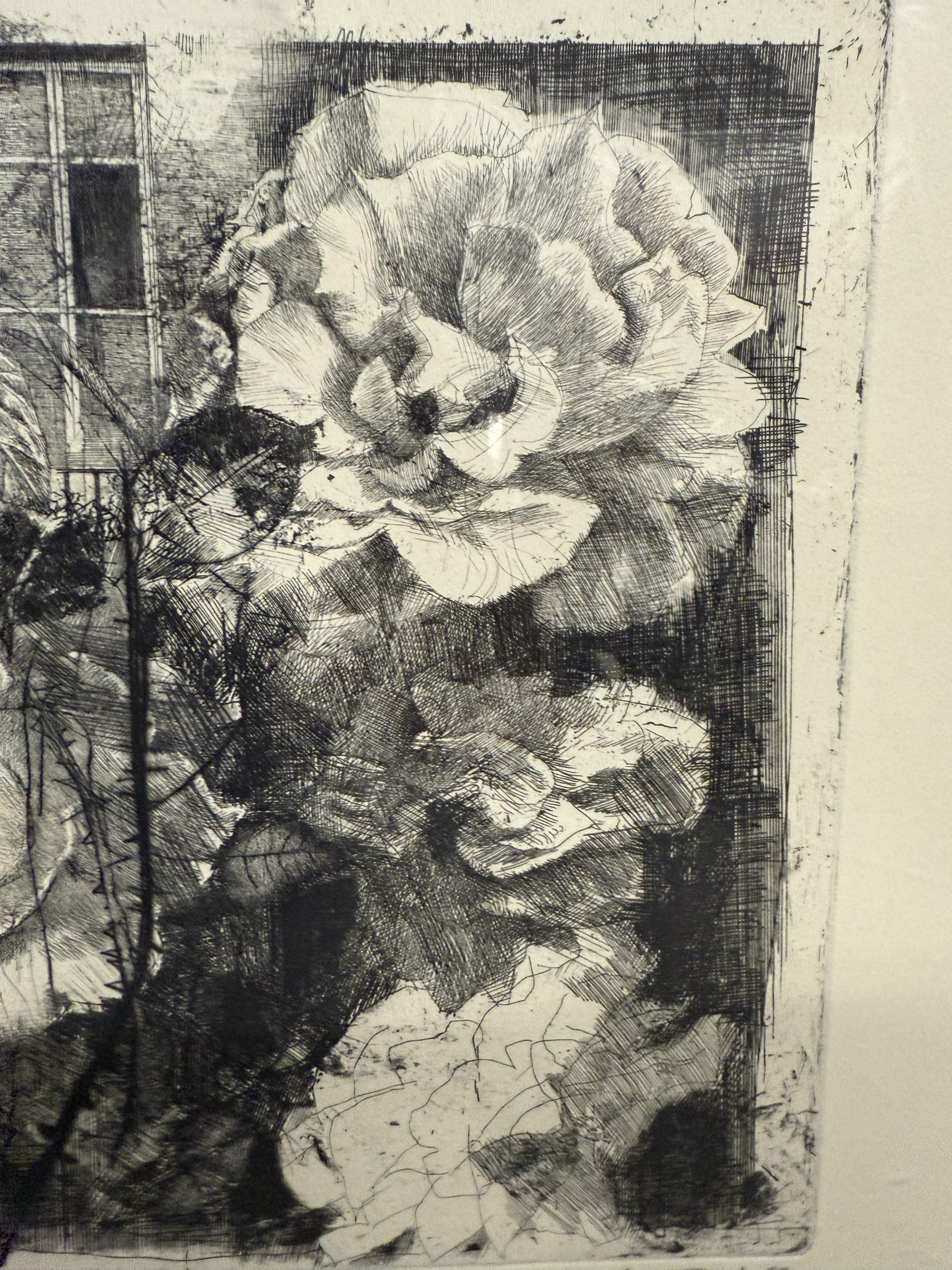 Antica incisione Mario Calandri "Rose nel cortile" N11/30 - immagine 7