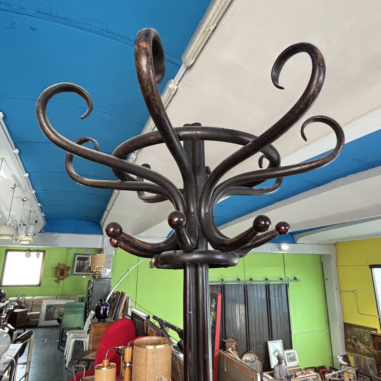 Antico Attaccapanni in legno di faggio Curvato Thonet anni 1940. Mis h cm 195 Larghezza cm 73 - immagine 2